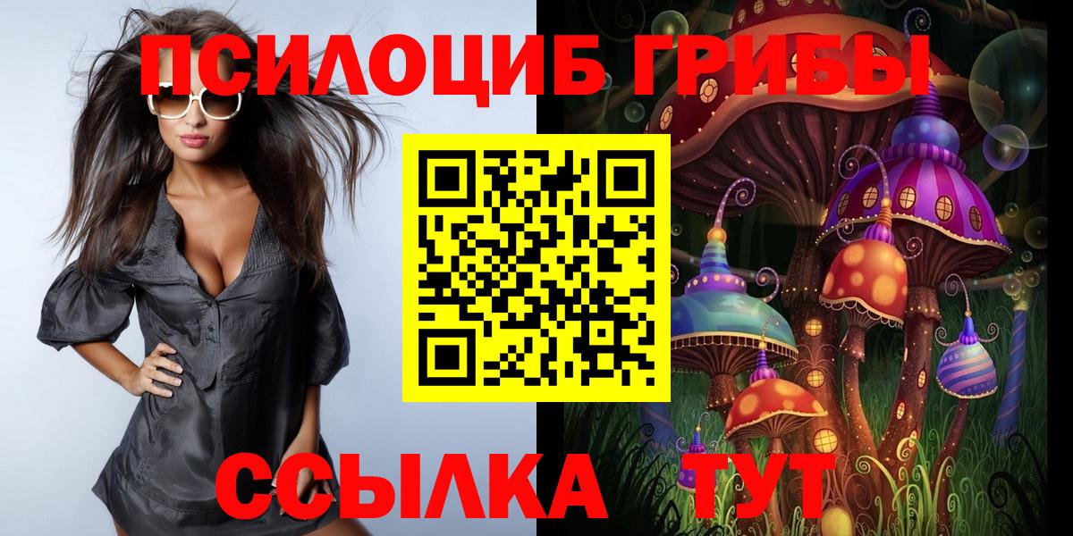 Белореченск  Псилоцибиновые грибы мухоморы  Псилоцибиновые грибы Magic Shrooms  наркота  Вход с VPN 